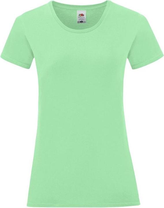 Fruit of the Loom Iconic TShirt