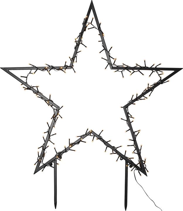 Actual product image Star Trading Star Spiky