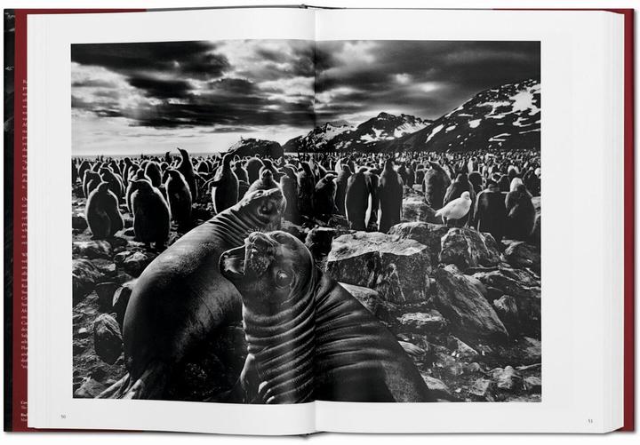 Image du produit Sebastião Salgado. Genesis (Allemand, Lélia Wanick Salgado, 2013)