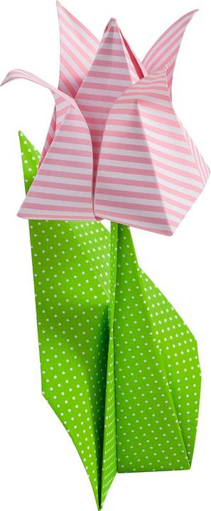 Actual product image Folia Leaflets Basic intensive (80 g/m², 50 x)