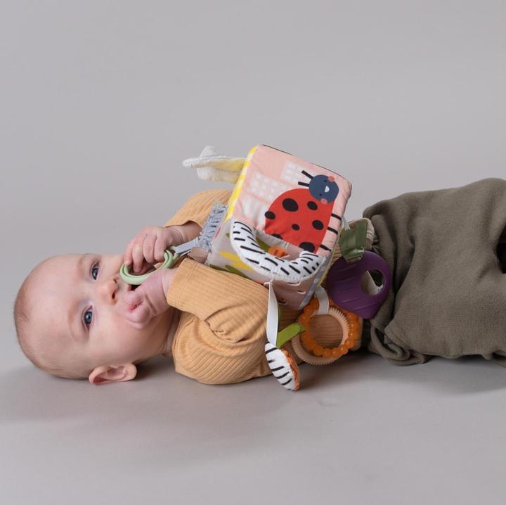 Actual product image Taf Toys Urban Garden