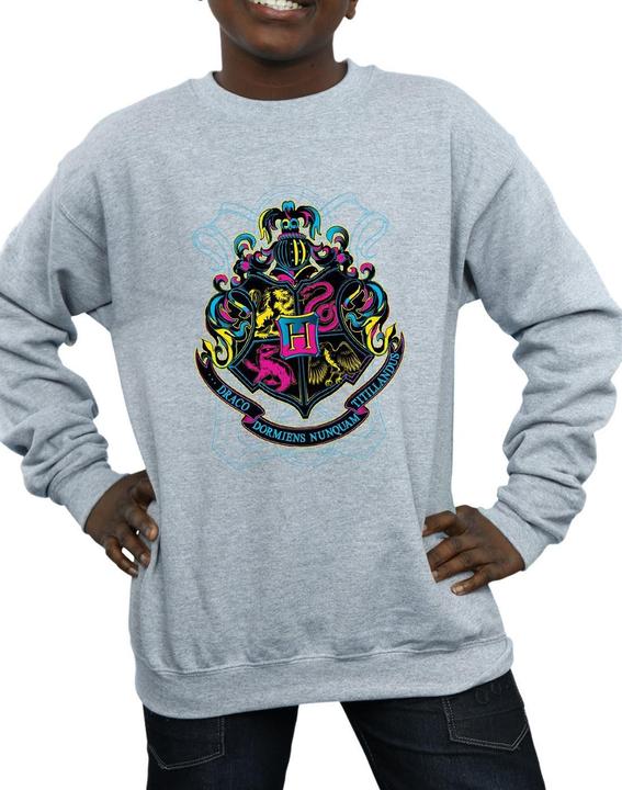 Immagine prodotto Neon Hogwarts Crest Felpa Ragazzi (116)