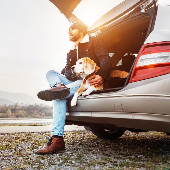 Produktbild Relaxdays Hundedecke (Hund, Reflektoren, Atmungsaktiv)