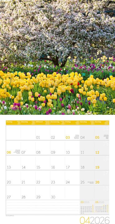Image du produit In meinem Garten Kalender 2026 - 30x30 (30 x 30 cm, Couverture rigide, Allemand, Français, Anglais, Italien)