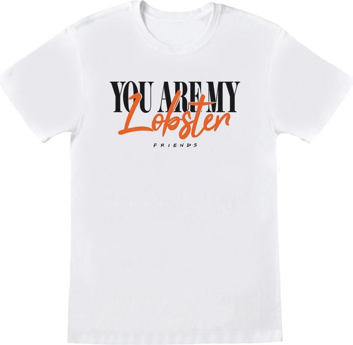 Actual product image Friends Boys Lobster Soul Mates T-Shirt (140, 146)