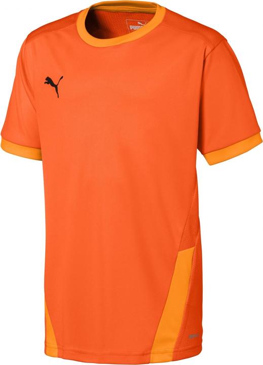 Actual product image Puma teamGOAL 23 Jersey jr-704160 (128)