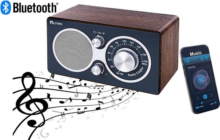Actual product image Elta Czajka Bluetooth Ball Radio (FM, Bluetooth)