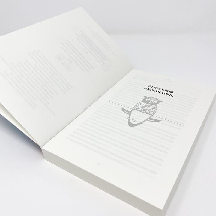 Produktbild An Nachteule von Sternhai (Deutsch, Meg Wolitzer, Holly Goldberg Sloan, 2021)
