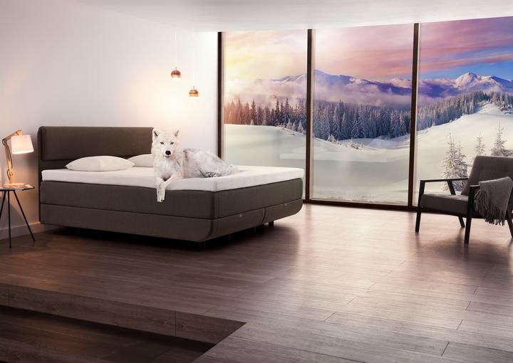 Produktbild Tempur Boxspring Bett North Continental (180 x 200 cm)