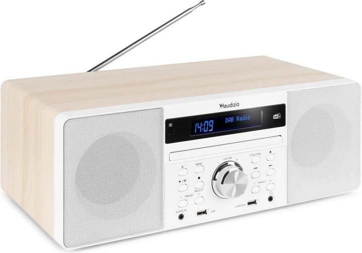 Actual product image Audizio Prato (FM, DAB+, Bluetooth)