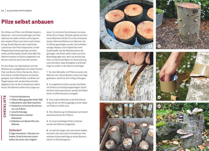 Image du produit Garten-Projekte für Selbermacher (Allemand, Folko Kullmann, 2022)