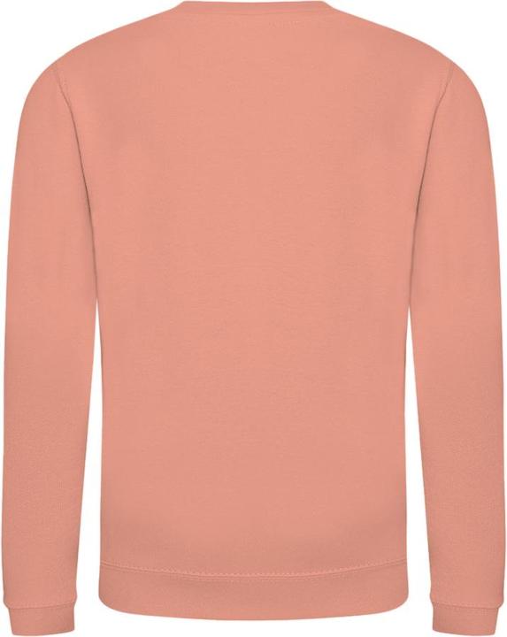 Produktbild Awdis Just Hoods Pullover Sweatshirt Unifarben (116)