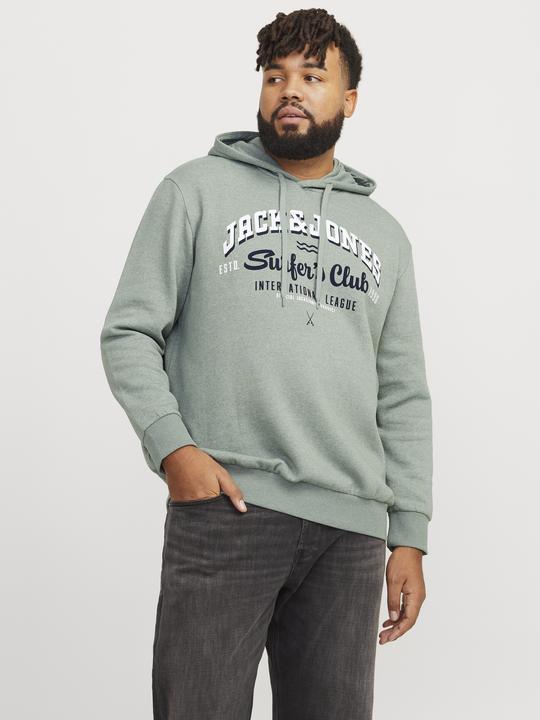 Immagine prodotto Jack & Jones JJELOGO SWEAT HOOD 2 COL 24/25 NOOS PLS (3XL)