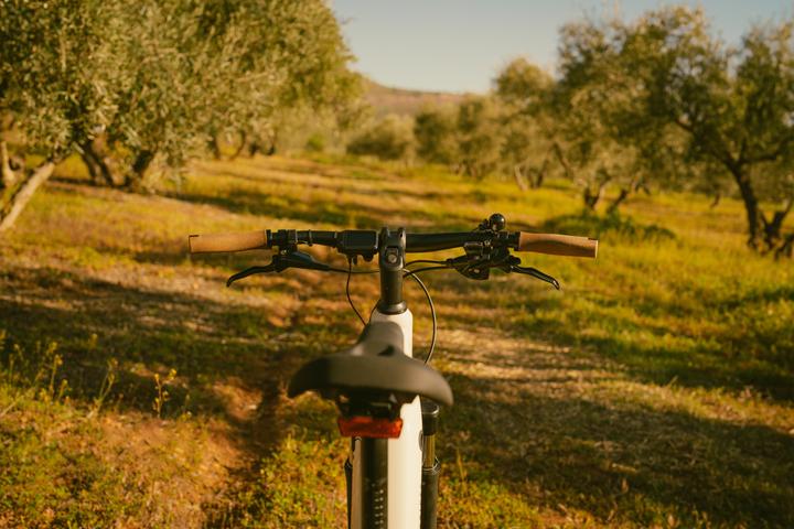 Image du produit Rockrider E-Bike SUV Trekking 28 pouces e-actv 500 LF entrée basse Yamaha beige