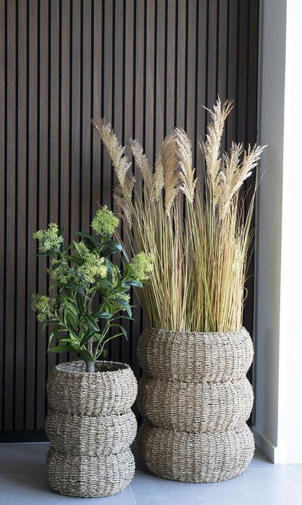 Actual product image House Nordic Skimmia (75 cm)
