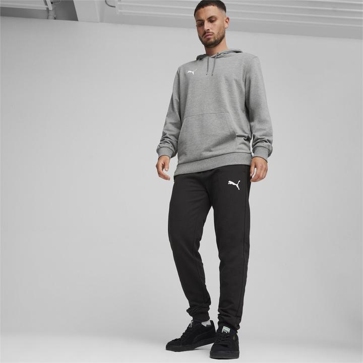 Actual product image Puma teamGOAL Casuals Hoody (3XL)