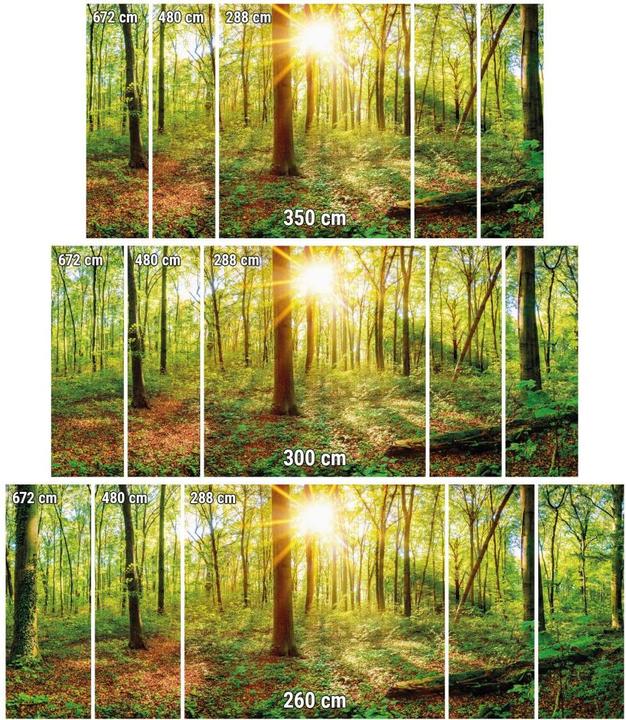 Immagine prodotto Trenddeko Nel profondo della foresta (672 x 260 cm)
