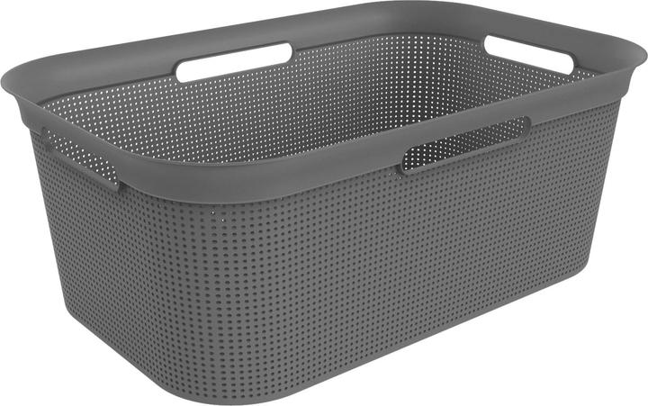 Rotho Breezes (41 l)