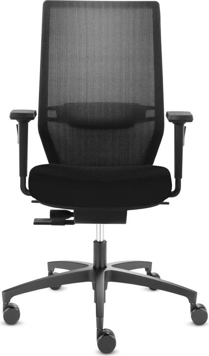 Produktbild Dauphin Shape Mesh