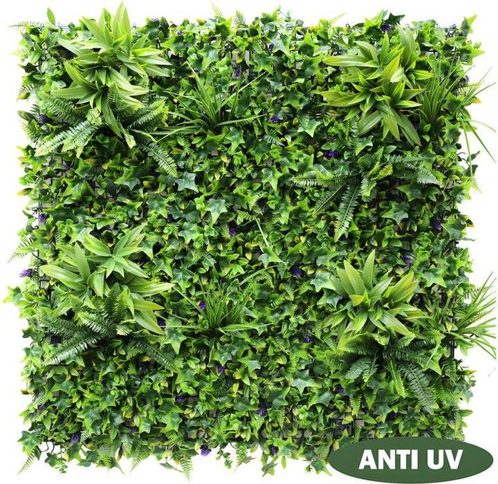 Image du produit Vente-unique Matcha
