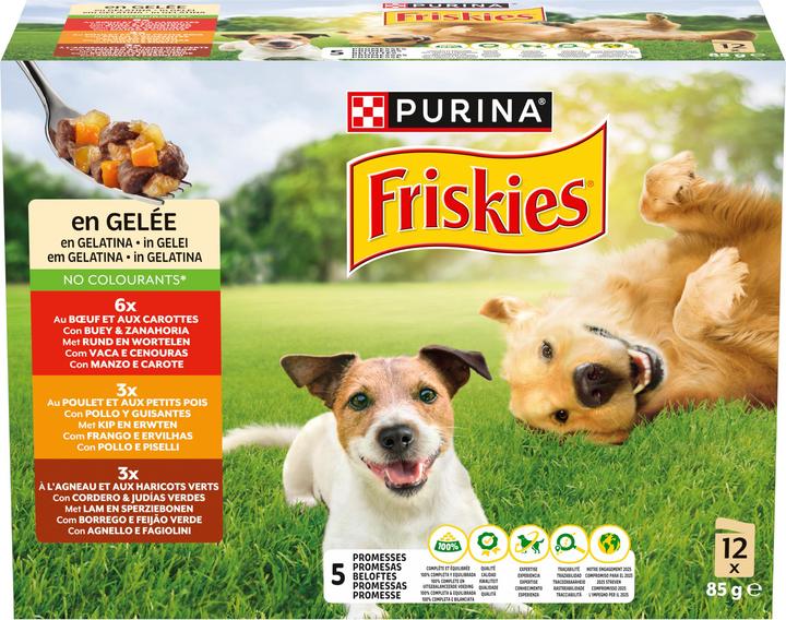 Immagine prodotto Friskies In gelatina (Adulto, 12 pz., 1160 g)