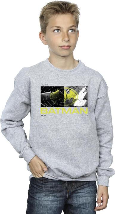 Image du produit - Sweat THE FLASH BATMAN FUTURE TO PAST - Garçon (128)