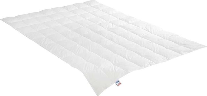 Immagine prodotto Irisette Piumino Emily light, imbottitura: 90% piumino, 10% piume (400 g, 200x200 cm)