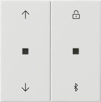 Gira System 3000 Blind + 536703 Bluetooth time switch pure white