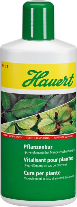 Produktbild Hauert Pflanzenkur (0.60 kg, 0.50 l)