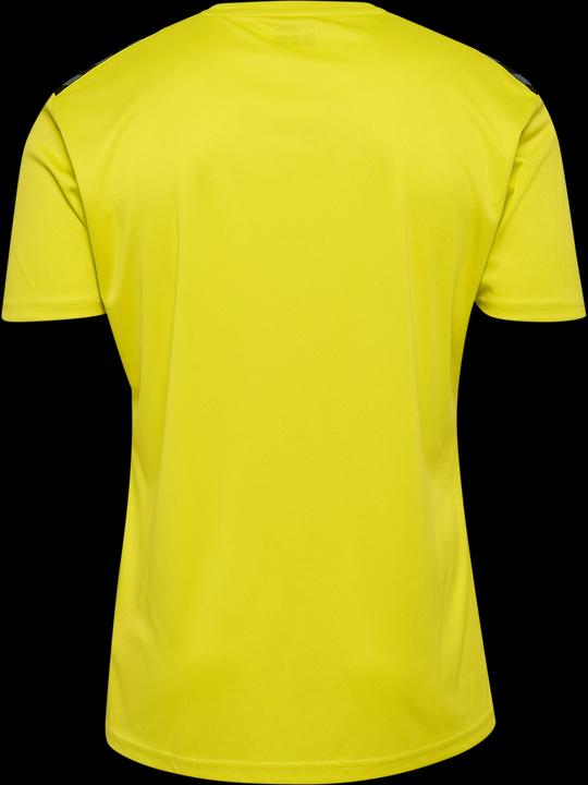 Image du produit hummel Hmlauthentic Pl Jersey S/S (XL)
