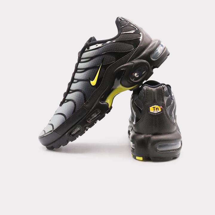 Actual product image Nike Air Max Plus (42)