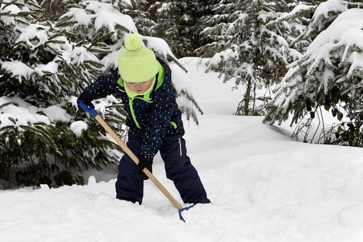 Image du produit Theo Klein Pelle à neige