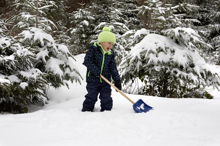 Image du produit Theo Klein Pelle à neige