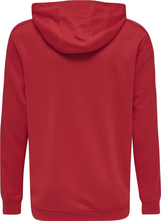 Actual product image hummel Promo Kids Poly Hoodie (164)