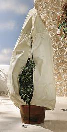 Actual product image Bio Green Tub plant bag