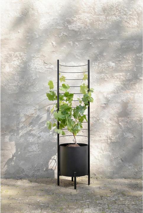 Produktbild Eva Solo - Simply Grow Spalier für Übertopf - Black - 145x42x21 cm