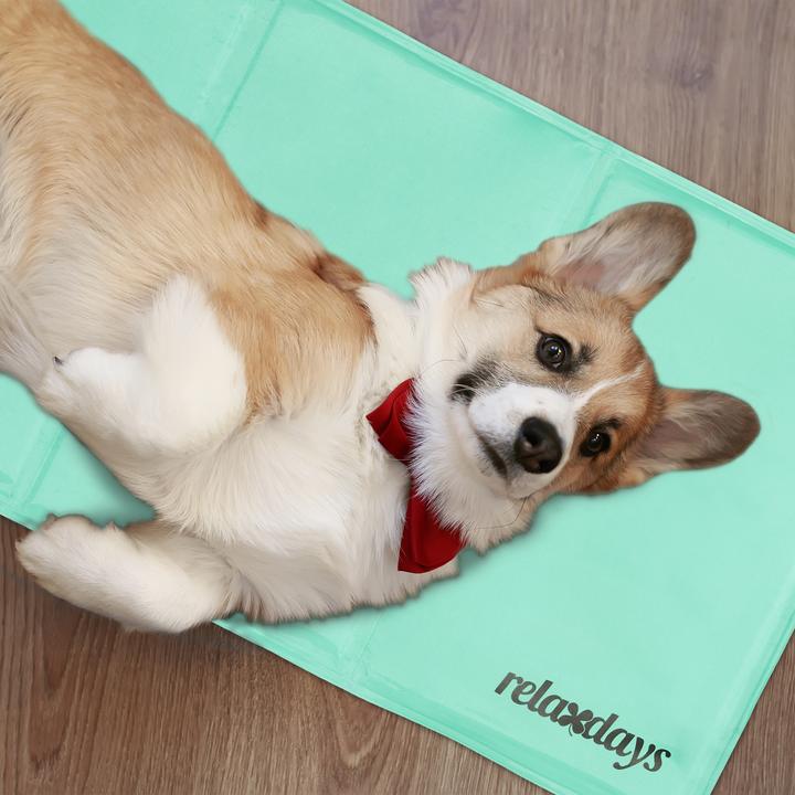 Immagine prodotto Relaxdays Tappetino refrigerante, cane (Cane)