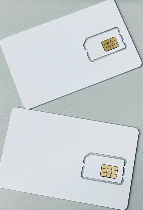 Produktbild Teltonika 29,90 Global Plan, Plastik-SIM-Karte, 500 MB, 5 Jahre, 134 Länder (500 MB / 30 Tage)