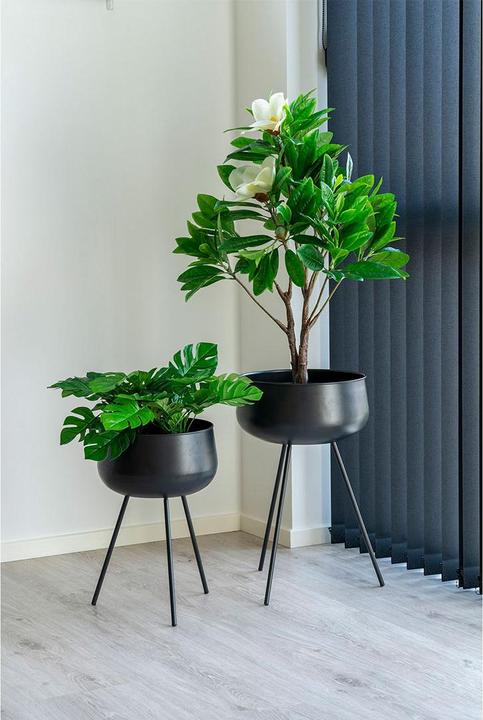 Actual product image House Nordic Monstera (45 cm)