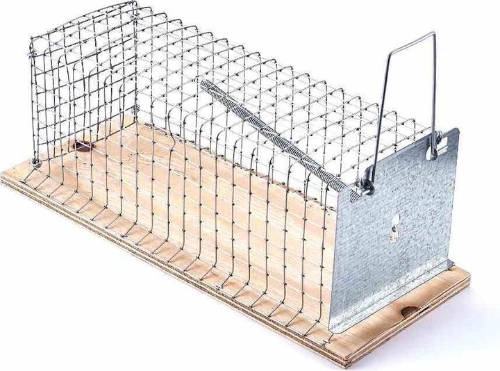 Produktbild Swissinno Lebendfalle Rat Classic 1 St.