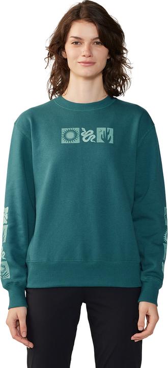 Mountain Hardwear W Desert Check™ Pullover Crew