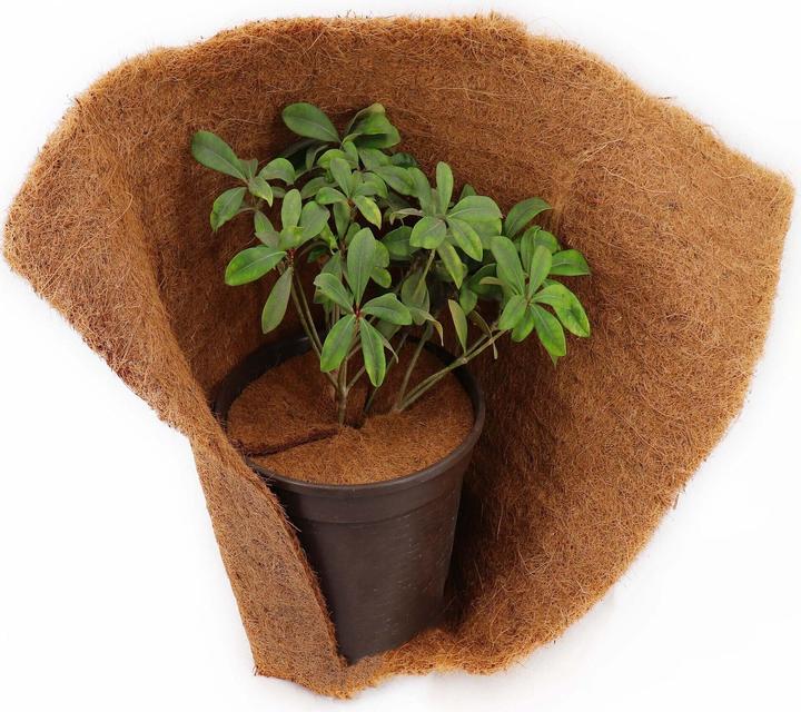 Actual product image Aquagart 2 Kokos Mulchscheiben 30cm Kokofasermatte Kokosfaser Pflanzenschutzmatte Kokos