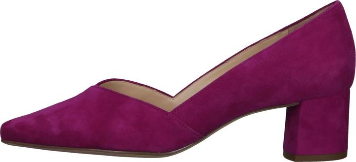 Image du produit Högl Pumps (34.5)