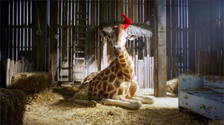 Immagine prodotto Plaion Il mio amico giraffa (Blu-ray, 2017, Tedesco)