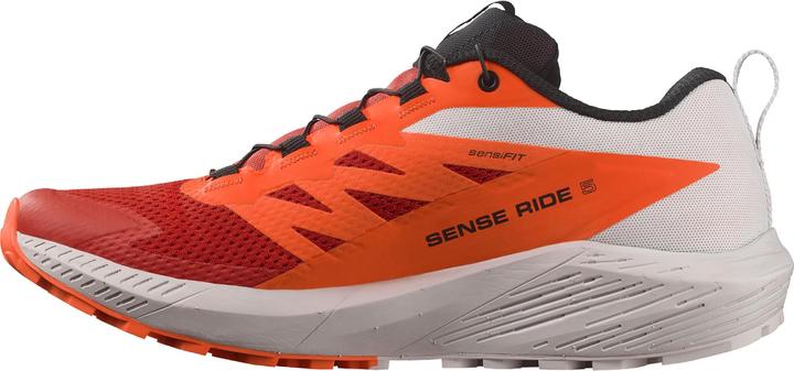 Produktbild Salomon Sense Ride 5 (46 2/3)