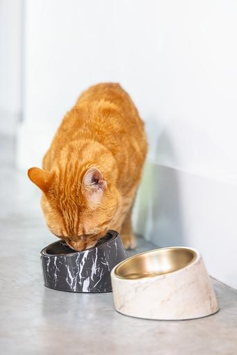 Produktbild Designed by Lotte Melaminnapf Katze Vita