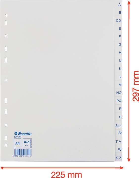 Immagine prodotto Esselte Registro di plastica economico