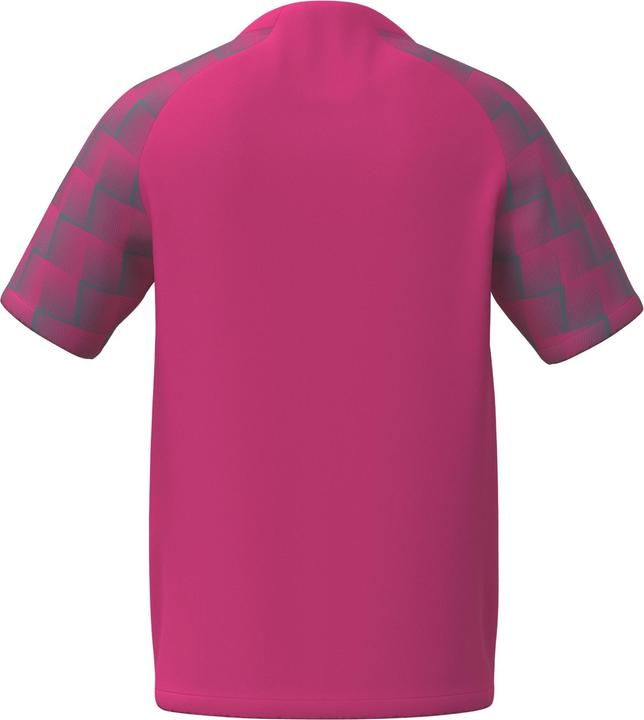 Actual product image Erima Evo Star jersey (140)
