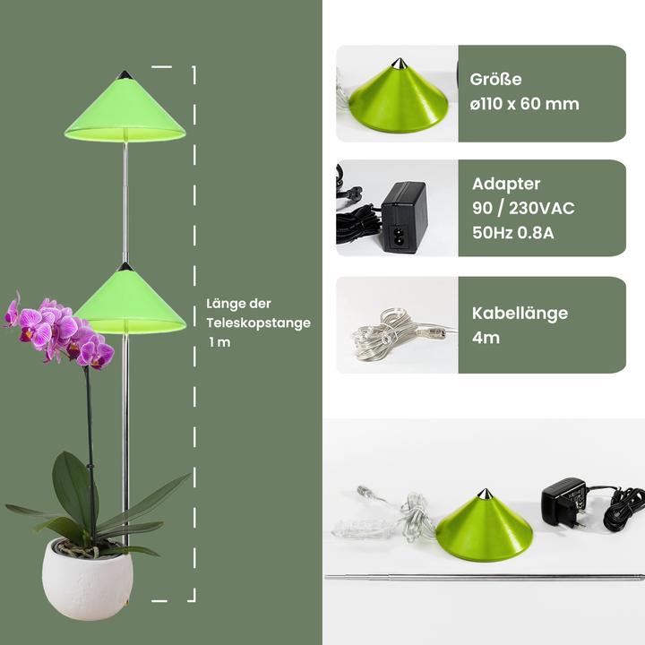 Immagine prodotto Colibri Sunlite (LED, 230 V)