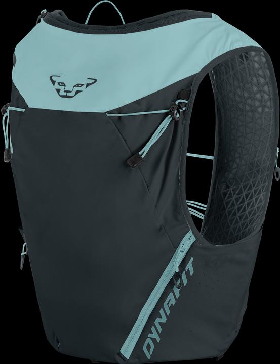 Image du produit Dynafit Gilet Alpine 15 (15 l)